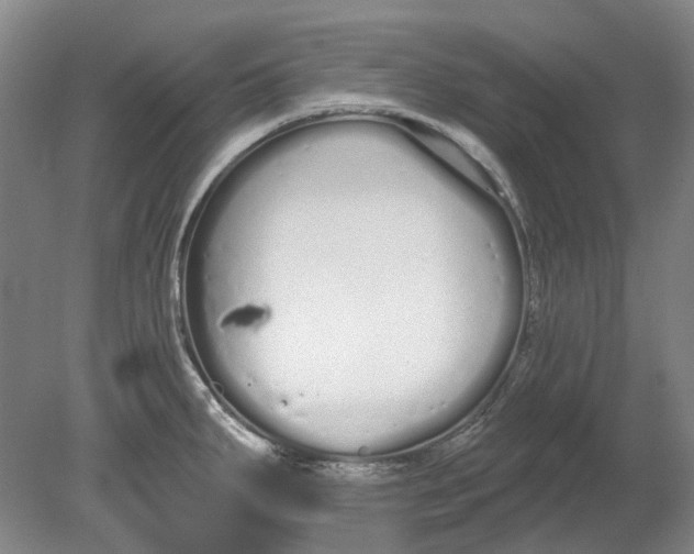 X0000080771287200701051252