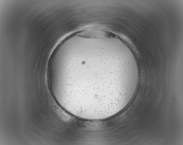 X0000080771288200701051252