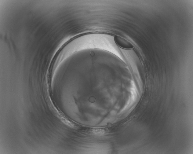 X0000080771291200701051252