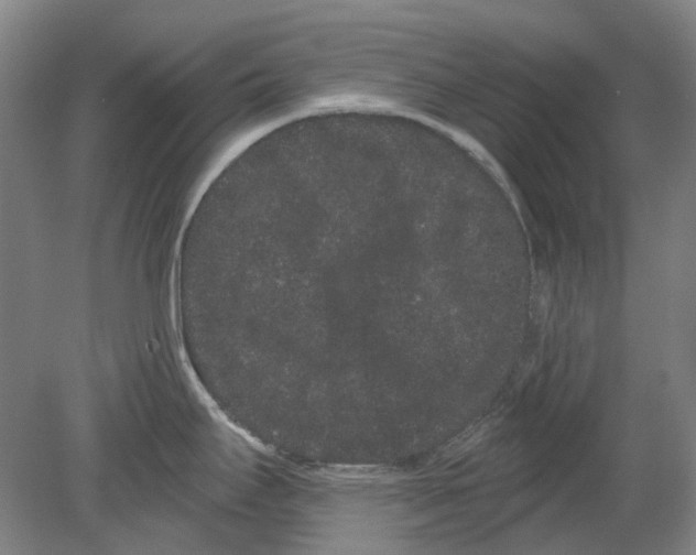 X0000080771295200701051252