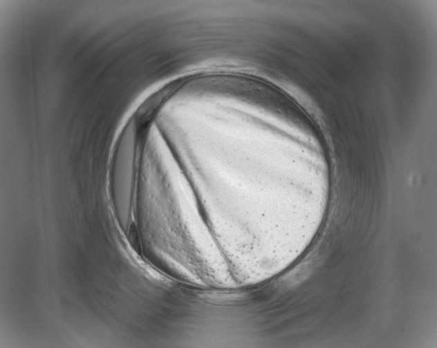 X0000080771296200701051252