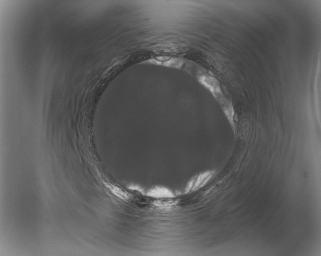 X0000080771297200701051251