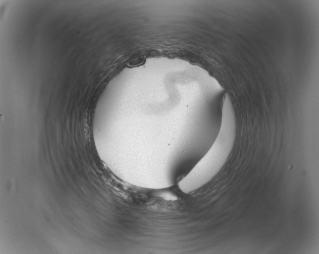 X0000080771298200701051251