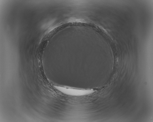 X0000080771303200701051251