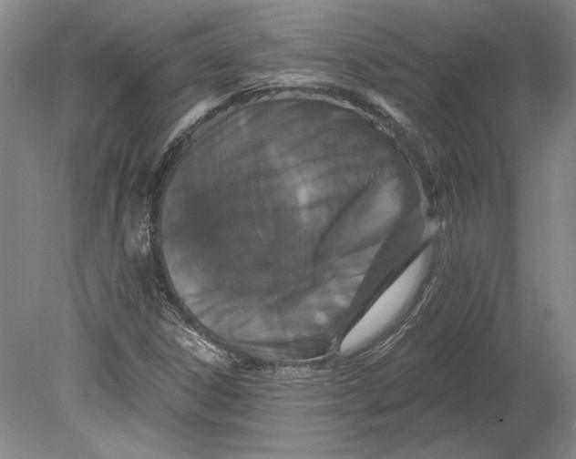 X0000080771306200701051251