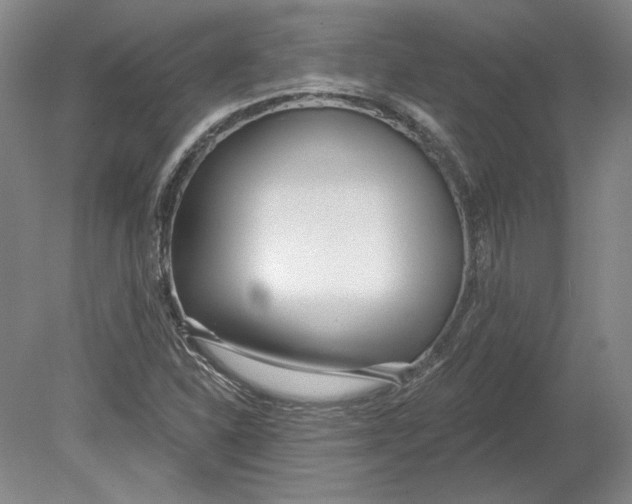 X0000080771310200701051251