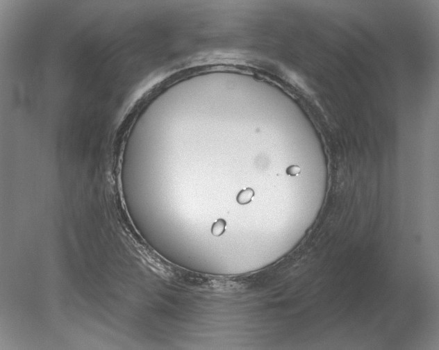 X0000080771312200701051251