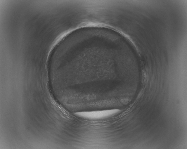 X0000080771319200701051252