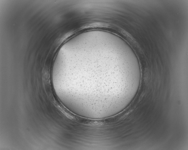 X0000080771321200701051252