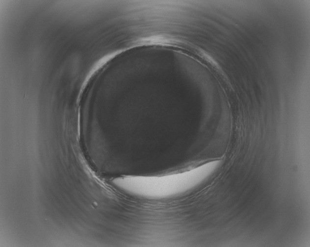 X0000080771323200701051252