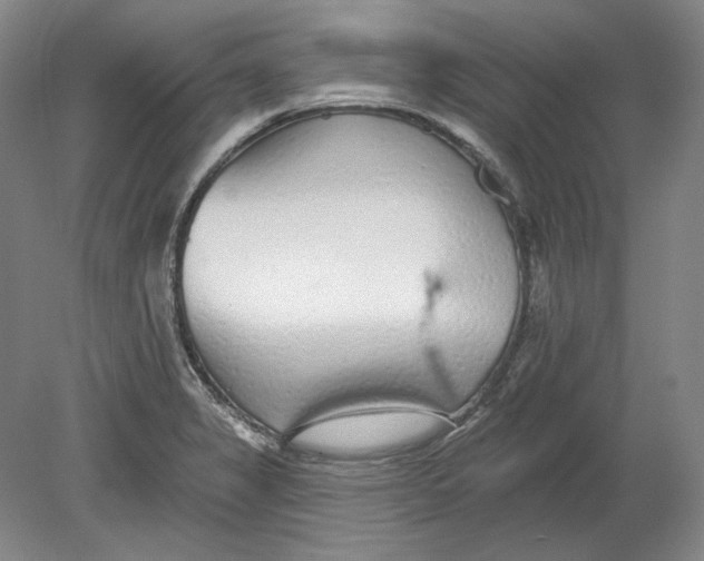 X0000080771325200701051252