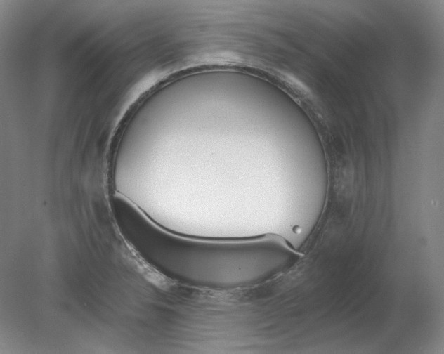 X0000080771326200701051252