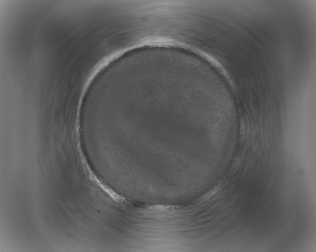 X0000080771327200701051252