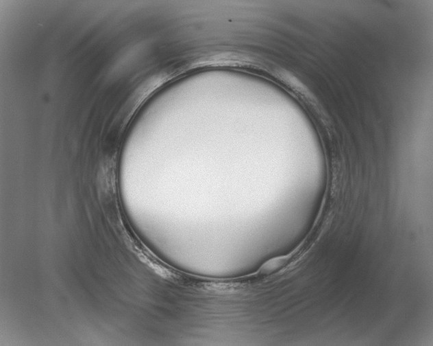 X0000080771329200701051252