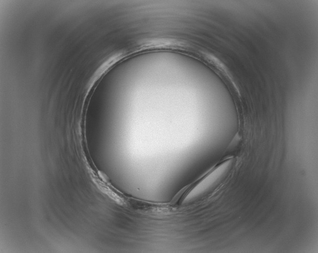 X0000080771330200701051252