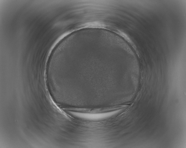 X0000080771331200701051252