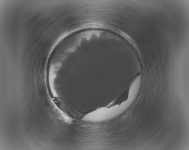 X0000080771334200701051252