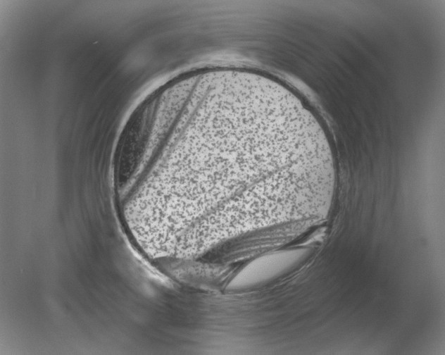 X0000080771335200701051252