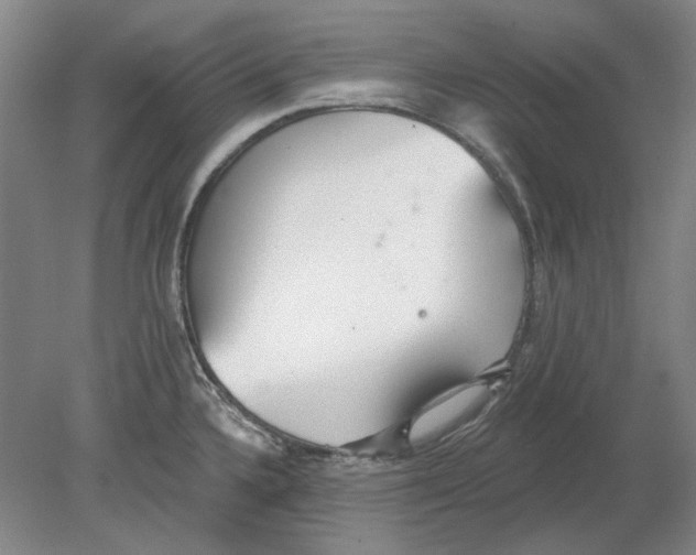 X0000080771336200701051252