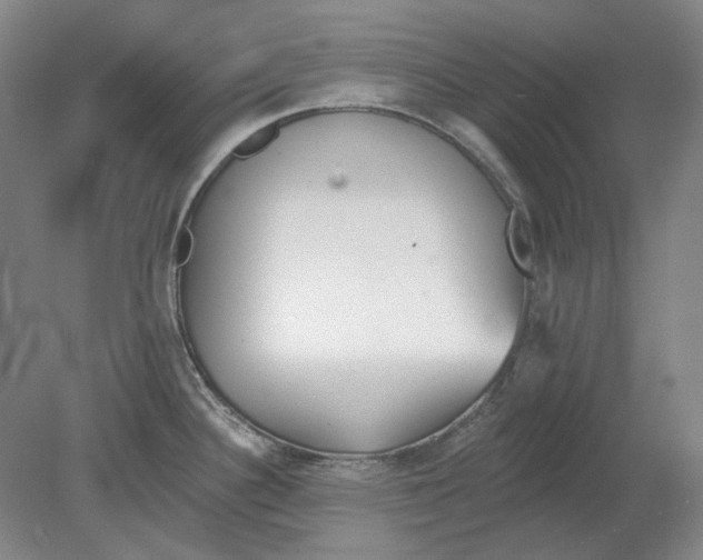 X0000080771340200701051252