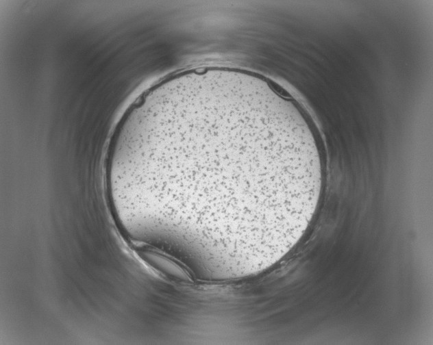 X0000080771341200701051252