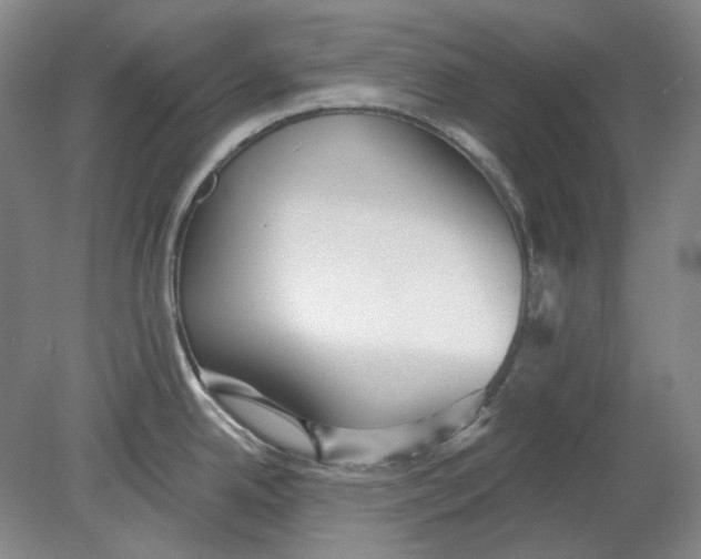 X0000080771342200701051252