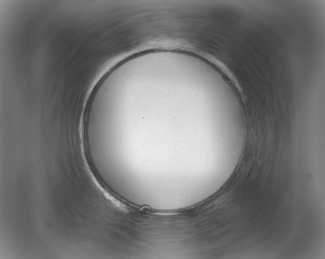 X0000080771343200701051252