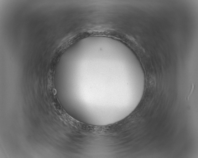 X0000080771350200701051251