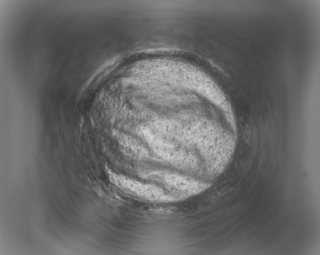 X0000080771351200701051251