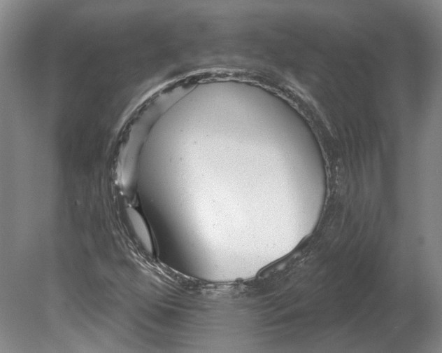 X0000080771352200701051251