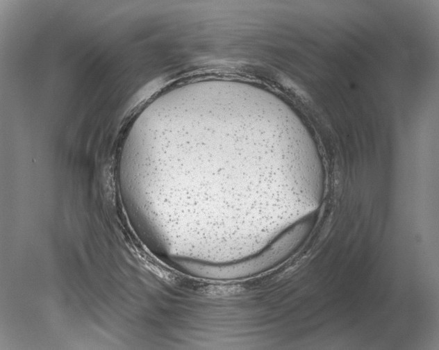 X0000080771354200701051251