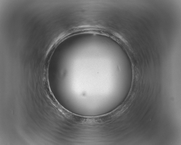 X0000080771357200701051251