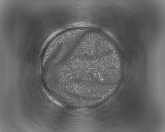 X0000080771358200701051251