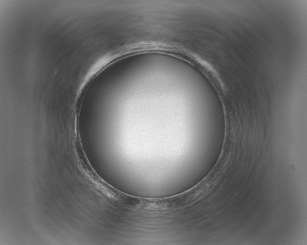 X0000080771365200701051251