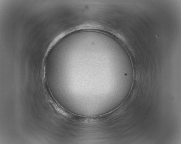 X0000080771366200701051251