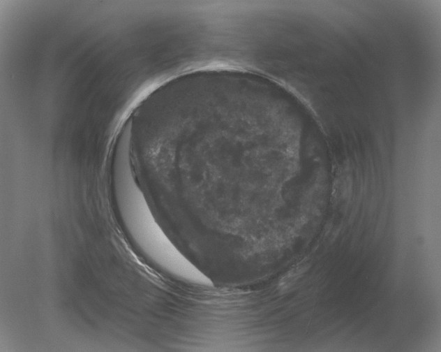 X0000080771367200701051251