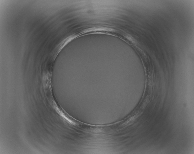 X0000080771369200701051251