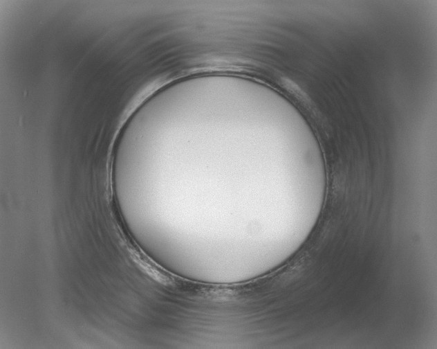 X0000080771370200701051251