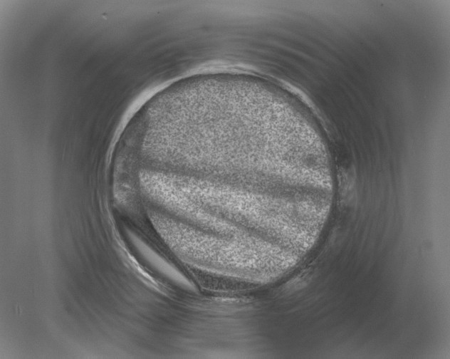 X0000080771371200701051251