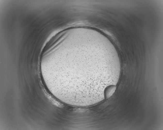 X0000080771374200701051251