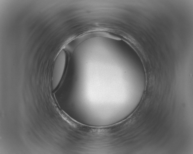 X0000080771377200701051251