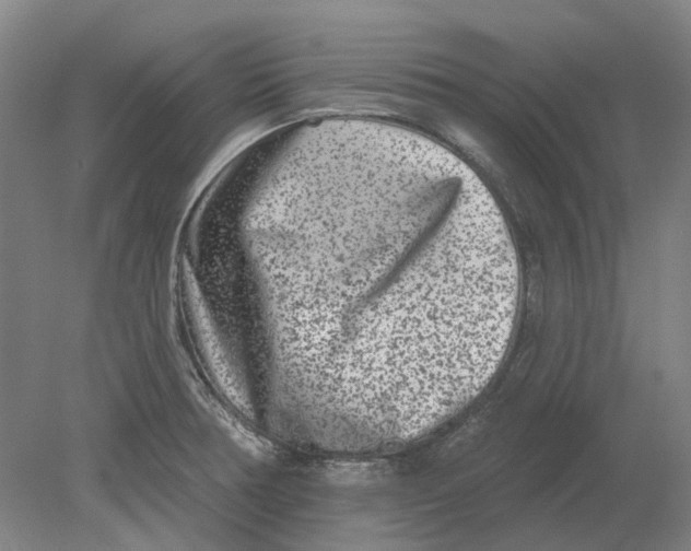 X0000080771378200701051251