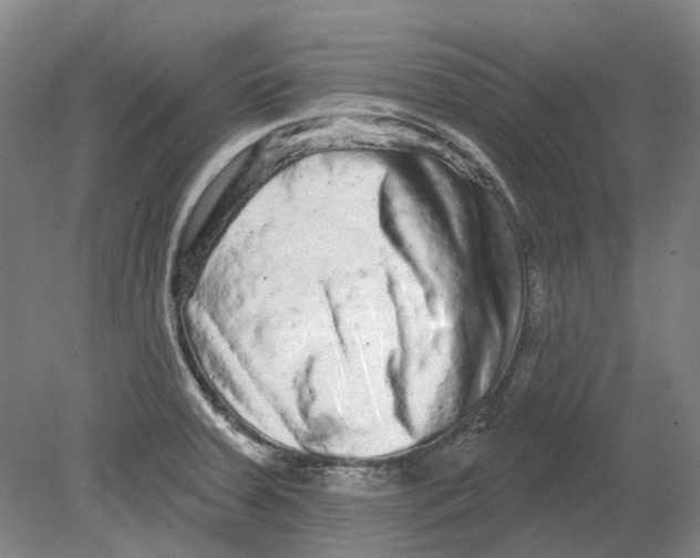 X0000080771379200701051251