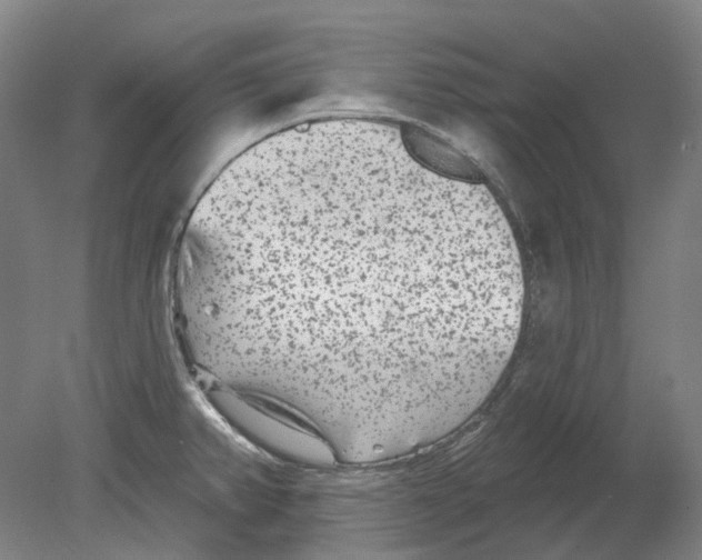 X0000080771382200701051251