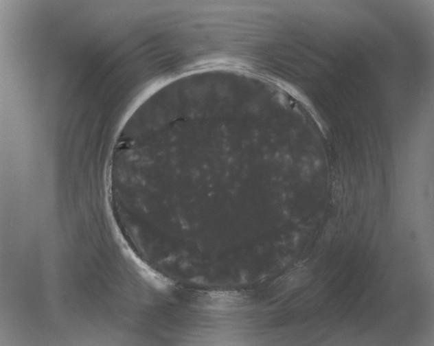 X0000080771383200701051251