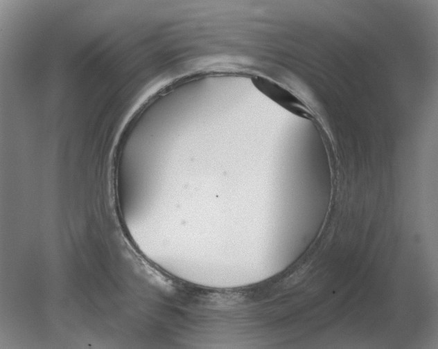 X0000080771384200701051251