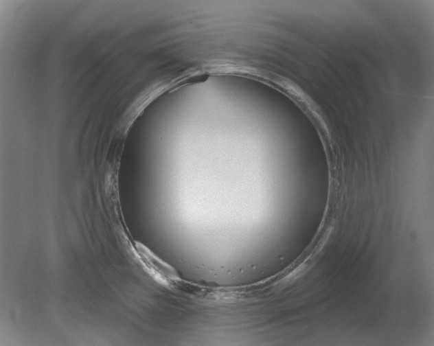 X0000080771385200701051250