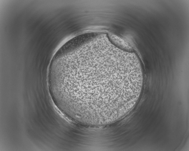 X0000080771386200701051250