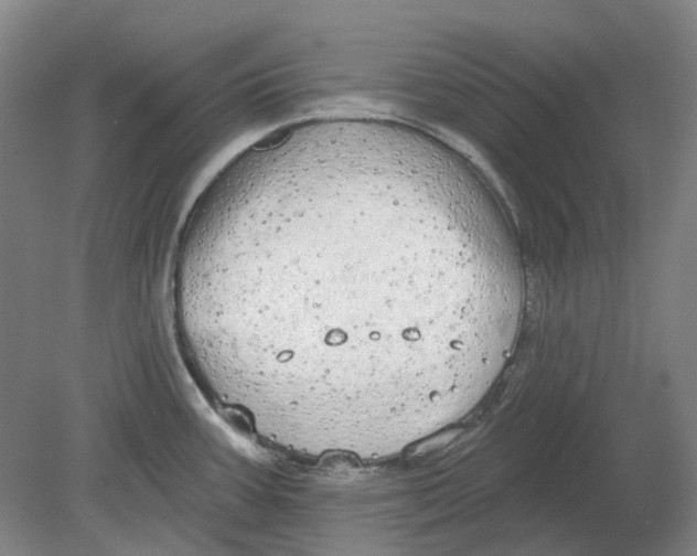 X0000080771387200701051250