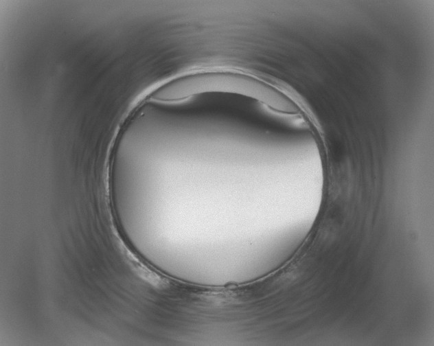 X0000080771388200701051250